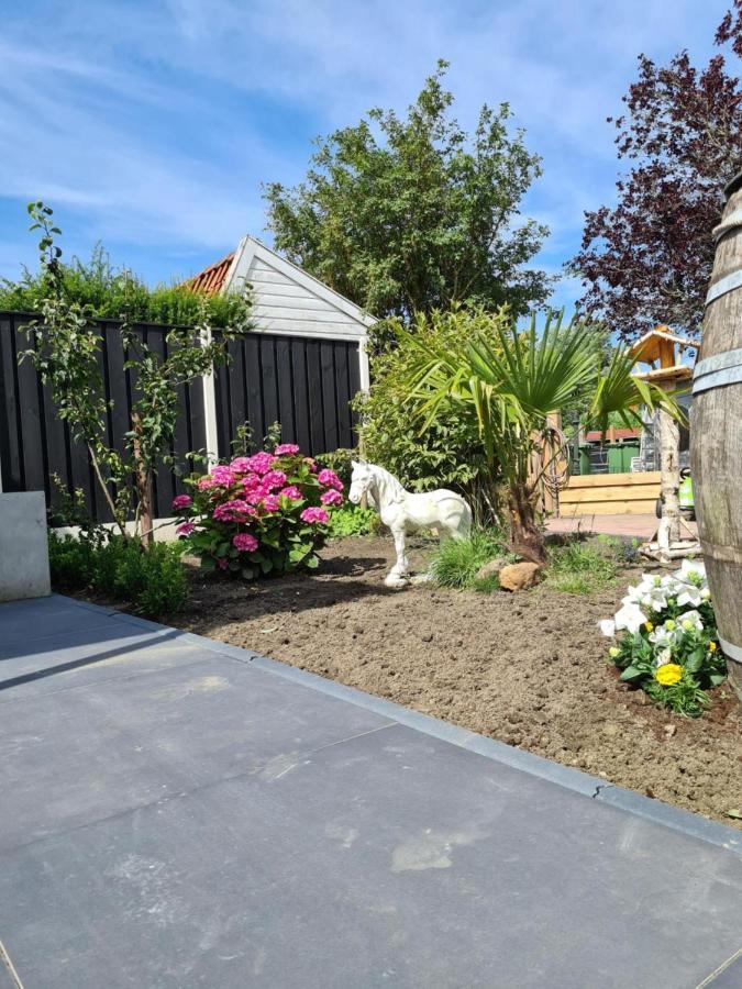 Tip Top Studio Vlissingen Dış mekan fotoğraf